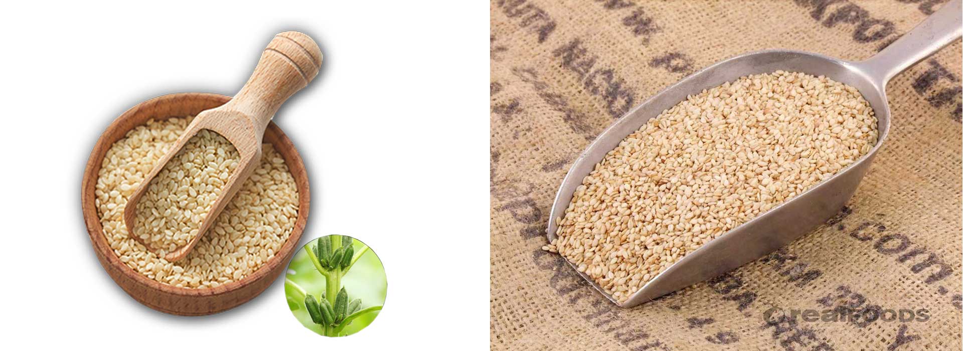 Natural Hulled Sesame Seeds Slider 2